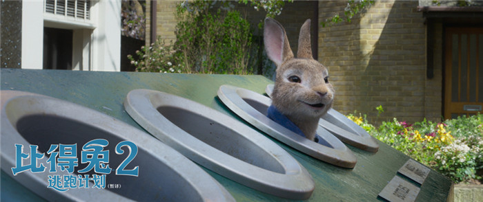 《比得兔2：逃跑计划》曝城市探险预告 超级萌兔开启城市冒险